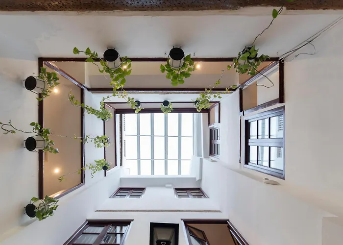 Youth By Feetup Valensiya